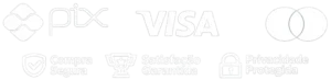 Pix, Visa, Mastercard, compra segura, satisfação garantida e privacidade protegida