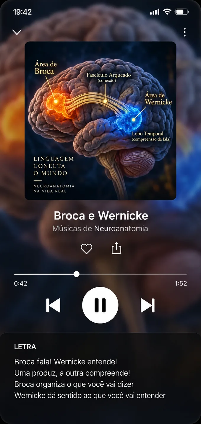 Player da música 13 — Broca e Wernicke