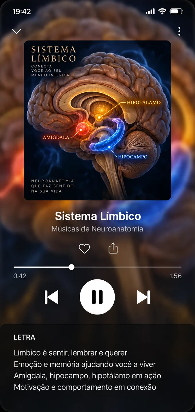 Player da música 14 — Sistema Límbico