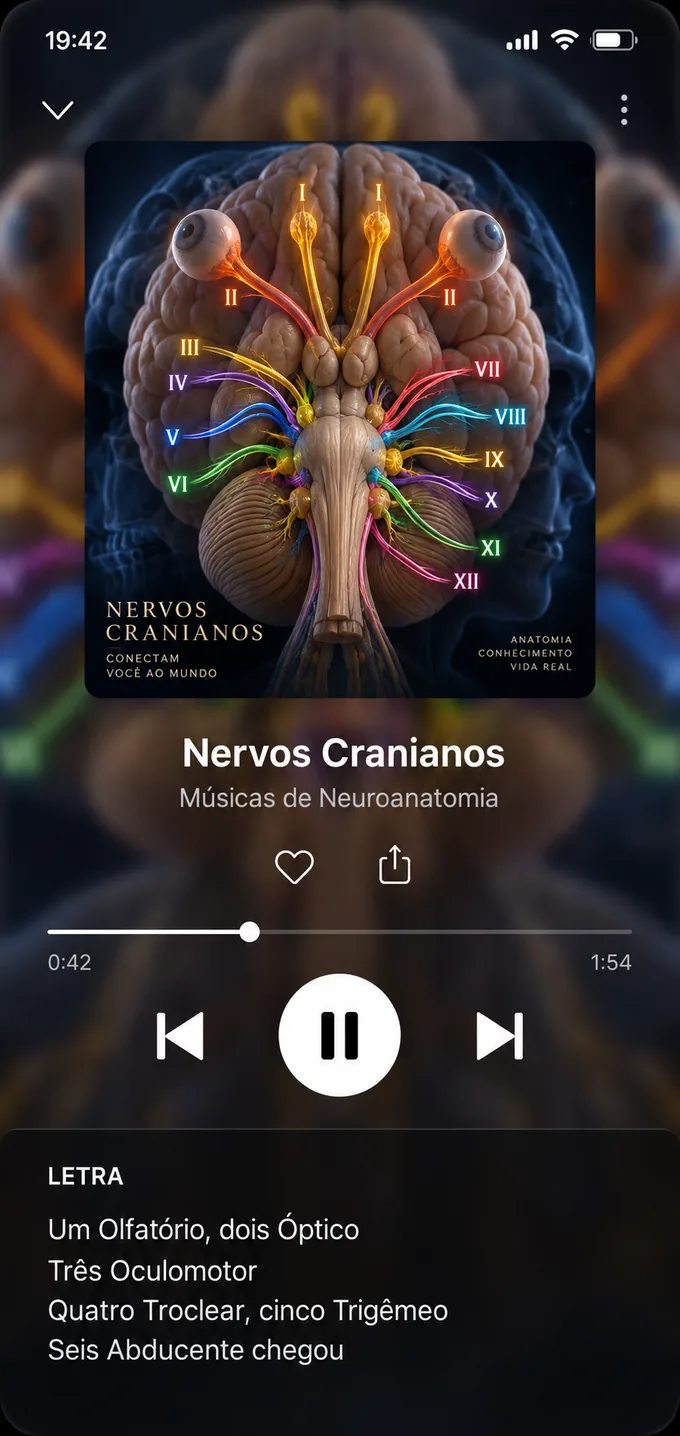 Player da música 27 — Nervos Cranianos