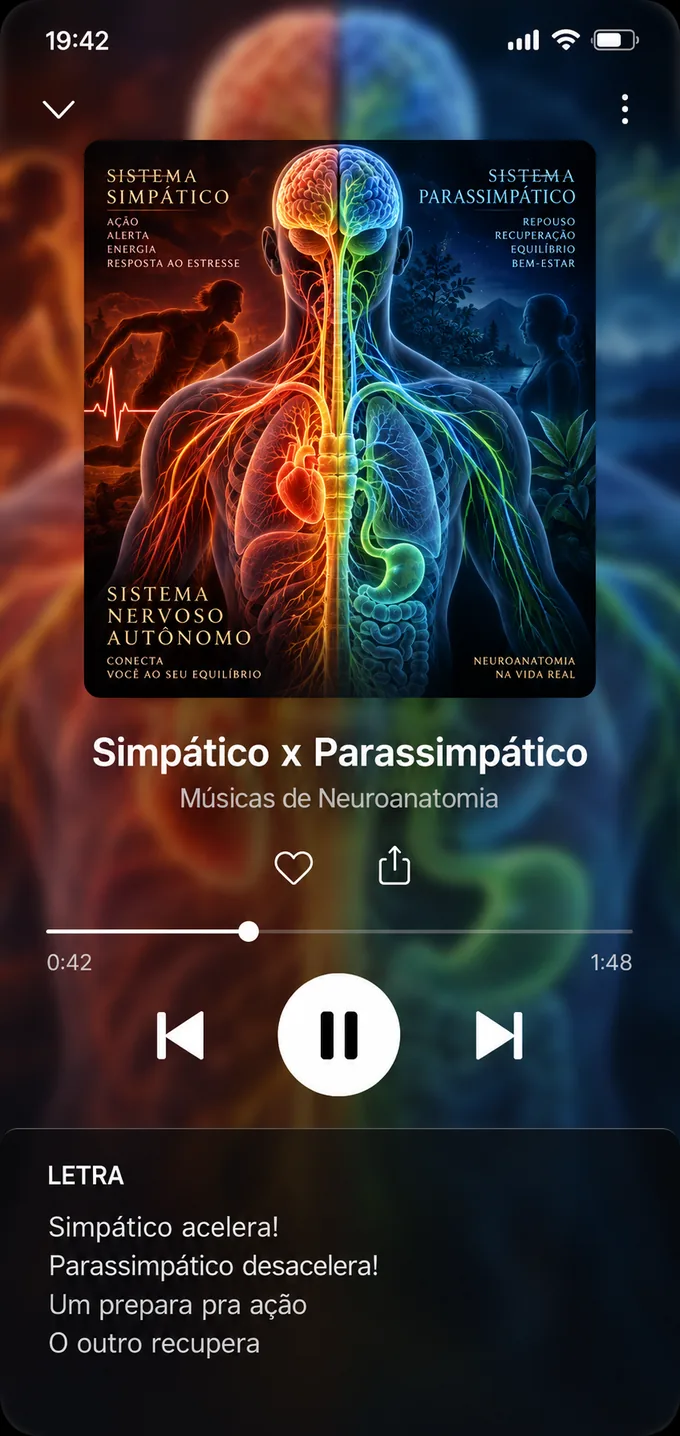 Player da música 37 — Simpático x Parassimpático